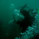 CORSO IMMERSION DIVING SCHOOL 16
