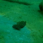 CORSO IMMERSION DIVING SCHOOL 21