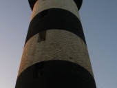 79